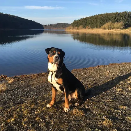 34 Casa de Férias Zadelsdorf