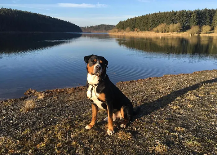 34 Casa de Férias Zadelsdorf